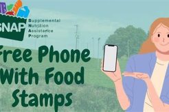 Alabama Food Stamp Free Phone Old Stamp Collecting Guide: Discover, Value & Preserve Vintage Stamps Alabama Food Stamp Free Phone | Old Stamp Collecting Guide: Discover, Value & Preserve Vintage Stamps