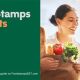 Find Food Stamp Offices in Medford, OR | Old Stamp Collecting Guide: Discover, Value & Preserve Vintage Stamps