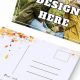Design Your Perfect Personalized Postcards Today | Old Stamp Collecting Guide: Discover, Value & Preserve Vintage Stamps