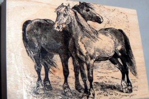 Custom Rubber Stamp Horse Designs & Tools Old Stamp Collecting Guide: Discover, Value & Preserve Vintage Stamps Custom Rubber Stamp Horse Designs & Tools | Old Stamp Collecting Guide: Discover, Value & Preserve Vintage Stamps