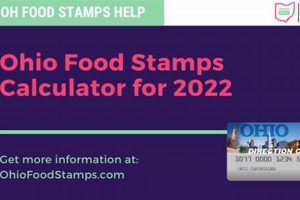 Ohio Food Stamp Calculator: Check Eligibility Old Stamp Collecting Guide: Discover, Value & Preserve Vintage Stamps Ohio Food Stamp Calculator: Check Eligibility | Old Stamp Collecting Guide: Discover, Value & Preserve Vintage Stamps
