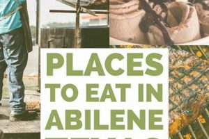 Find Abilene Food Stamp Office Locations & Info Old Stamp Collecting Guide: Discover, Value & Preserve Vintage Stamps Find Abilene Food Stamp Office Locations & Info | Old Stamp Collecting Guide: Discover, Value & Preserve Vintage Stamps