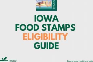 Check Iowa Food Stamp Eligibility Requirements Old Stamp Collecting Guide: Discover, Value & Preserve Vintage Stamps Check Iowa Food Stamp Eligibility Requirements | Old Stamp Collecting Guide: Discover, Value & Preserve Vintage Stamps