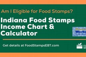 Find South Bend Indiana Food Stamp Office Locations Old Stamp Collecting Guide: Discover, Value & Preserve Vintage Stamps Find South Bend Indiana Food Stamp Office Locations | Old Stamp Collecting Guide: Discover, Value & Preserve Vintage Stamps
