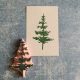 Buy Pine Tree Rubber Stamps | Best Price | Old Stamp Collecting Guide: Discover, Value & Preserve Vintage Stamps