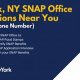 Find Your Bronx SNAP Office (Food Stamp Office BX NY) Locations | Old Stamp Collecting Guide: Discover, Value & Preserve Vintage Stamps