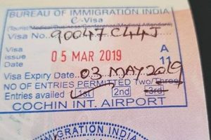 U.S. Entry: No Passport Stamp? What to Know Old Stamp Collecting Guide: Discover, Value & Preserve Vintage Stamps U.S. Entry: No Passport Stamp? What to Know | Old Stamp Collecting Guide: Discover, Value & Preserve Vintage Stamps