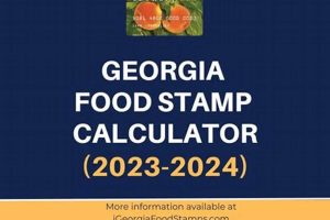 Georgia Food Stamp Income Limits & Requirements 2024 Old Stamp Collecting Guide: Discover, Value & Preserve Vintage Stamps Georgia Food Stamp Income Limits & Requirements 2024 | Old Stamp Collecting Guide: Discover, Value & Preserve Vintage Stamps