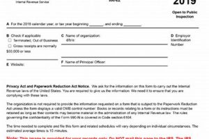 Irs Form 990 N Postcard Old Stamp Collecting Guide: Discover, Value & Preserve Vintage Stamps Irs Form 990 N Postcard | Old Stamp Collecting Guide: Discover, Value & Preserve Vintage Stamps
