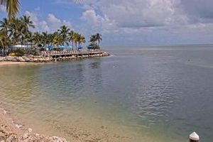 Postcard Inn Live Cam | Old Stamp Collecting Guide: Discover, Value & Preserve Vintage Stamps