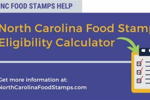 North Carolina Food Stamp Rules Old Stamp Collecting Guide: Discover, Value & Preserve Vintage Stamps North Carolina Food Stamp Rules | Old Stamp Collecting Guide: Discover, Value & Preserve Vintage Stamps
