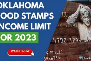 OKLAHOMA Food Stamp Income Limits & Guidelines 2024 Old Stamp Collecting Guide: Discover, Value & Preserve Vintage Stamps OKLAHOMA Food Stamp Income Limits & Guidelines 2024 | Old Stamp Collecting Guide: Discover, Value & Preserve Vintage Stamps