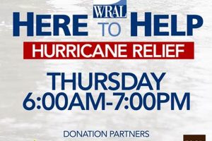 Hurricane Relief: Accessing Food Stamp Benefits Old Stamp Collecting Guide: Discover, Value & Preserve Vintage Stamps Hurricane Relief: Accessing Food Stamp Benefits | Old Stamp Collecting Guide: Discover, Value & Preserve Vintage Stamps