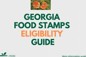 GA Food Stamp Income Limits & Eligibility for 2024 Old Stamp Collecting Guide: Discover, Value & Preserve Vintage Stamps GA Food Stamp Income Limits & Eligibility for 2024 | Old Stamp Collecting Guide: Discover, Value & Preserve Vintage Stamps