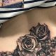 Cover Up Tattoos Tramp Stamp | Old Stamp Collecting Guide: Discover, Value & Preserve Vintage Stamps