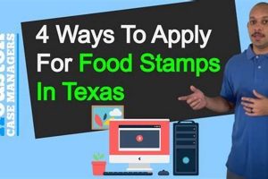 Find Your Texas City Food Stamp Office Near You Old Stamp Collecting Guide: Discover, Value & Preserve Vintage Stamps Find Your Texas City Food Stamp Office Near You | Old Stamp Collecting Guide: Discover, Value & Preserve Vintage Stamps