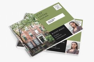 Every Door Direct Mail Postcard Template Old Stamp Collecting Guide: Discover, Value & Preserve Vintage Stamps Every Door Direct Mail Postcard Template | Old Stamp Collecting Guide: Discover, Value & Preserve Vintage Stamps