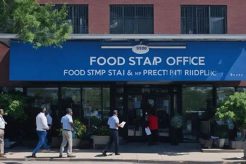 Find Your Richardson, TX Food Stamp Office Old Stamp Collecting Guide: Discover, Value & Preserve Vintage Stamps Find Your Richardson, TX Food Stamp Office | Old Stamp Collecting Guide: Discover, Value & Preserve Vintage Stamps