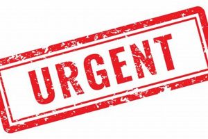 Buy Urgent Rubber Stamps Online | Fast Shipping Old Stamp Collecting Guide: Discover, Value & Preserve Vintage Stamps Buy Urgent Rubber Stamps Online | Fast Shipping | Old Stamp Collecting Guide: Discover, Value & Preserve Vintage Stamps