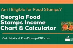 GA Food Stamp Income Chart 2024: SNAP Guide Old Stamp Collecting Guide: Discover, Value & Preserve Vintage Stamps GA Food Stamp Income Chart 2024: SNAP Guide | Old Stamp Collecting Guide: Discover, Value & Preserve Vintage Stamps