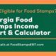 GA Food Stamp Income Chart 2024: SNAP Guide | Old Stamp Collecting Guide: Discover, Value & Preserve Vintage Stamps