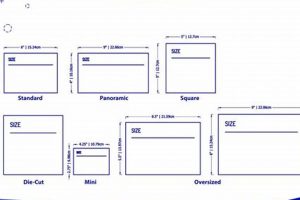 Extra Large Postcards: Design & Printing Tips Old Stamp Collecting Guide: Discover, Value & Preserve Vintage Stamps Extra Large Postcards: Design & Printing Tips | Old Stamp Collecting Guide: Discover, Value & Preserve Vintage Stamps
