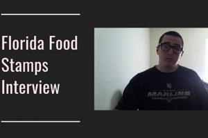 Find Your Florida Food Stamp Interview Number & Contact Info | Old Stamp Collecting Guide: Discover, Value & Preserve Vintage Stamps