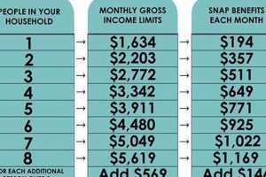 Murray KY Food Stamp Office: Your Guide & Resources Old Stamp Collecting Guide: Discover, Value & Preserve Vintage Stamps Murray KY Food Stamp Office: Your Guide & Resources | Old Stamp Collecting Guide: Discover, Value & Preserve Vintage Stamps