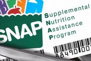 Louisiana Snap Food Stamp Program Old Stamp Collecting Guide: Discover, Value & Preserve Vintage Stamps Louisiana Snap Food Stamp Program | Old Stamp Collecting Guide: Discover, Value & Preserve Vintage Stamps
