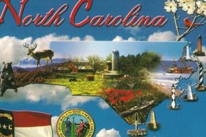 Vintage North Carolina Postcards: Scenic Views | Old Stamp Collecting Guide: Discover, Value & Preserve Vintage Stamps