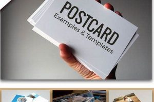 Custom Postcard Printing Services Near You Old Stamp Collecting Guide: Discover, Value & Preserve Vintage Stamps Custom Postcard Printing Services Near You | Old Stamp Collecting Guide: Discover, Value & Preserve Vintage Stamps