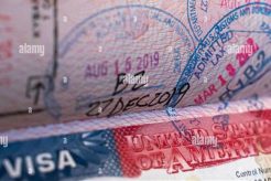 US Visa Stamp in Passport: A Guide Old Stamp Collecting Guide: Discover, Value & Preserve Vintage Stamps US Visa Stamp in Passport: A Guide | Old Stamp Collecting Guide: Discover, Value & Preserve Vintage Stamps
