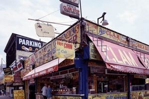Find Your Coney Island Food Stamp Office in Brooklyn Old Stamp Collecting Guide: Discover, Value & Preserve Vintage Stamps Find Your Coney Island Food Stamp Office in Brooklyn | Old Stamp Collecting Guide: Discover, Value & Preserve Vintage Stamps