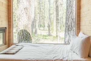 Cozy Postcard Cabins in the Ozark Highlands Await Old Stamp Collecting Guide: Discover, Value & Preserve Vintage Stamps Cozy Postcard Cabins in the Ozark Highlands Await | Old Stamp Collecting Guide: Discover, Value & Preserve Vintage Stamps