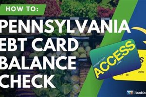 Check PA EBT Food Stamp Balance Online Old Stamp Collecting Guide: Discover, Value & Preserve Vintage Stamps Check PA EBT Food Stamp Balance Online | Old Stamp Collecting Guide: Discover, Value & Preserve Vintage Stamps