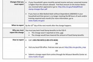 Food Stamp Simplified Reporting Old Stamp Collecting Guide: Discover, Value & Preserve Vintage Stamps Food Stamp Simplified Reporting | Old Stamp Collecting Guide: Discover, Value & Preserve Vintage Stamps