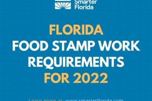 2024 Florida Food Stamp Requirements & Eligibility Old Stamp Collecting Guide: Discover, Value & Preserve Vintage Stamps 2024 Florida Food Stamp Requirements & Eligibility | Old Stamp Collecting Guide: Discover, Value & Preserve Vintage Stamps