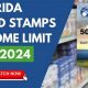 Florida Food Stamp Guide &amp; Application | Old Stamp Collecting Guide: Discover, Value & Preserve Vintage Stamps