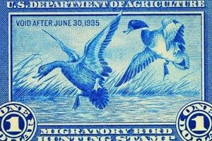 Duck Stamp Act: Enacted In Which Year? Old Stamp Collecting Guide: Discover, Value & Preserve Vintage Stamps Duck Stamp Act: Enacted In Which Year? | Old Stamp Collecting Guide: Discover, Value & Preserve Vintage Stamps