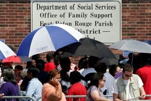 LA Disaster Food Stamp Program Guide & FAQs Old Stamp Collecting Guide: Discover, Value & Preserve Vintage Stamps LA Disaster Food Stamp Program Guide & FAQs | Old Stamp Collecting Guide: Discover, Value & Preserve Vintage Stamps