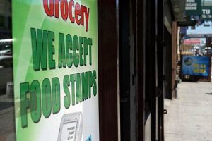 Find Help: Barreto Food Stamp Center Guide Old Stamp Collecting Guide: Discover, Value & Preserve Vintage Stamps Find Help: Barreto Food Stamp Center Guide | Old Stamp Collecting Guide: Discover, Value & Preserve Vintage Stamps