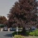 Food Stamp Office Eugene Or | Old Stamp Collecting Guide: Discover, Value & Preserve Vintage Stamps
