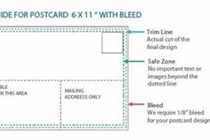 Postcard Postage: Find the Correct Rate Now | Old Stamp Collecting Guide: Discover, Value & Preserve Vintage Stamps