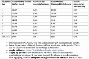 Maryland Food Stamp Eligibility Requirements Guide Old Stamp Collecting Guide: Discover, Value & Preserve Vintage Stamps Maryland Food Stamp Eligibility Requirements Guide | Old Stamp Collecting Guide: Discover, Value & Preserve Vintage Stamps