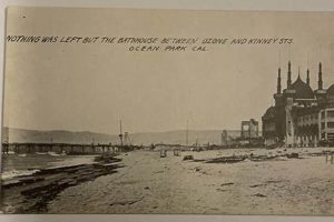 Vintage STS Postcards: Maritime History Mail Old Stamp Collecting Guide: Discover, Value & Preserve Vintage Stamps Vintage STS Postcards: Maritime History Mail | Old Stamp Collecting Guide: Discover, Value & Preserve Vintage Stamps