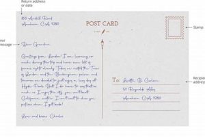 Postcard Addressing: Where Does the Address Go? | Old Stamp Collecting Guide: Discover, Value & Preserve Vintage Stamps