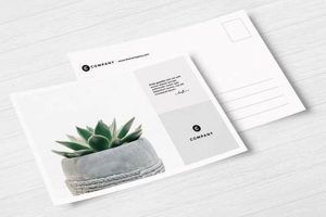 Best Free Postcard Mockups: Design & Print Old Stamp Collecting Guide: Discover, Value & Preserve Vintage Stamps Best Free Postcard Mockups: Design & Print | Old Stamp Collecting Guide: Discover, Value & Preserve Vintage Stamps