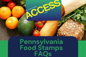PA Food Stamp Calculator: Check Eligibility & Benefits Old Stamp Collecting Guide: Discover, Value & Preserve Vintage Stamps PA Food Stamp Calculator: Check Eligibility & Benefits | Old Stamp Collecting Guide: Discover, Value & Preserve Vintage Stamps