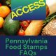PA Food Stamp Calculator: Check Eligibility & Benefits | Old Stamp Collecting Guide: Discover, Value & Preserve Vintage Stamps