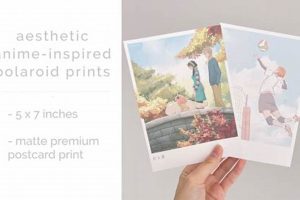 Custom Postcard Prints & Designs Online | Old Stamp Collecting Guide: Discover, Value & Preserve Vintage Stamps